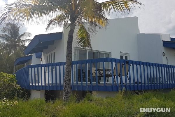 Spacious Villa On The Beach Öne Çıkan Resim