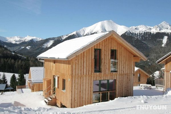 Splendid Wooden Chalet in Hohentauern Near the Forest Öne Çıkan Resim