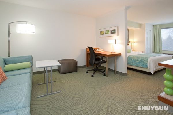 SpringHill Suites by Marriott Portland Airport Genel