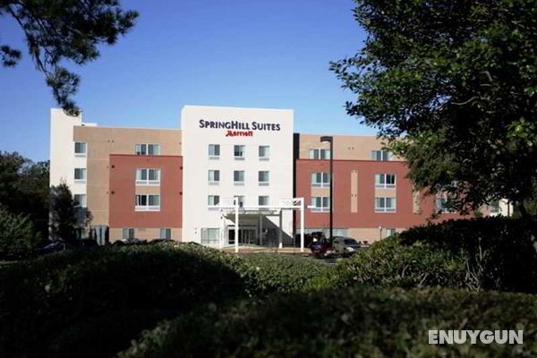 SpringHill Suites Tallahassee Central Genel