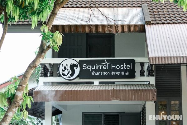 Squirrel Hostel Öne Çıkan Resim
