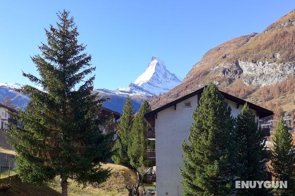 St Bernhard Zermatt Öne Çıkan Resim