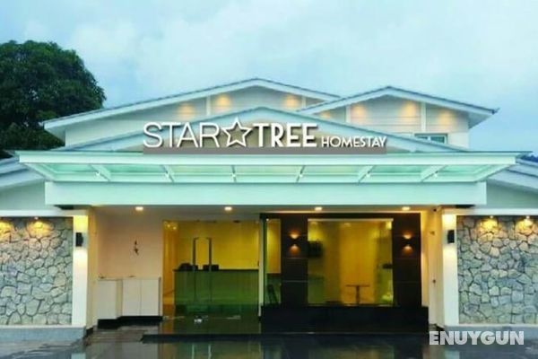 Star Tree Homestay Öne Çıkan Resim