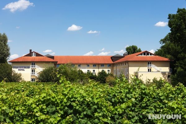 Steigenberger Hotel Deidesheim . Genel