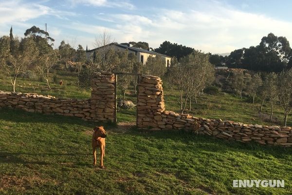 Stellar Overberg Travellers Lodge Öne Çıkan Resim