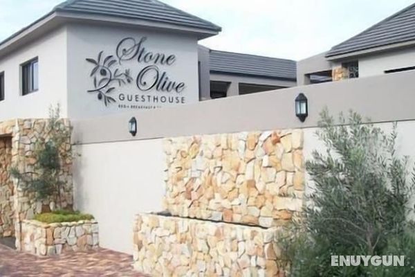 Stone Olive Guest House Öne Çıkan Resim