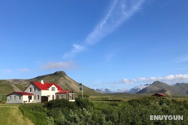 Suður-Bár Guesthouse Öne Çıkan Resim
