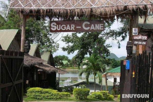 Sugar Cane Guest House 1 Öne Çıkan Resim