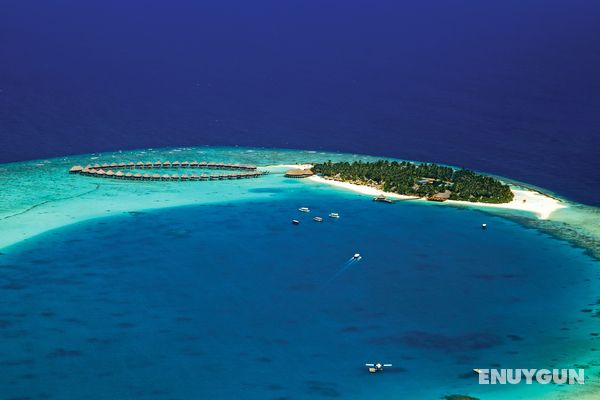 Sun Aqua Vilu Reef Maldives Genel