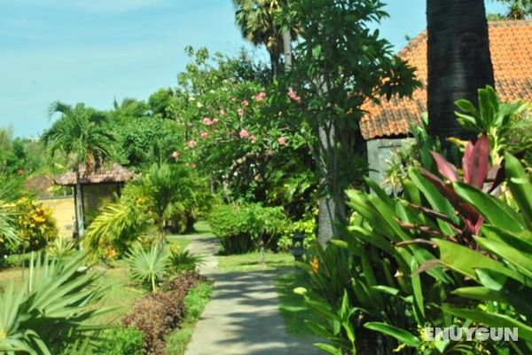 Taman Selini Bali Genel