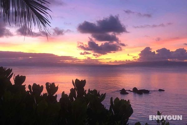 Taveuni Palms Resort - All Inclusive Genel