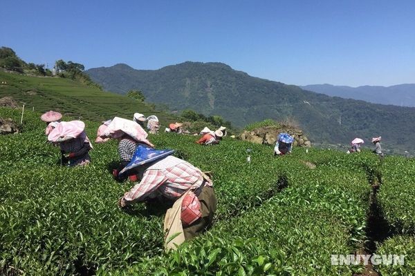 Tea Cloud B&B Öne Çıkan Resim