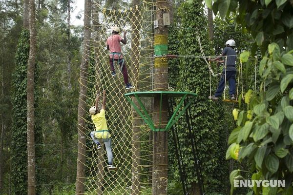 TGI STAR Holidays Yercaud Genel