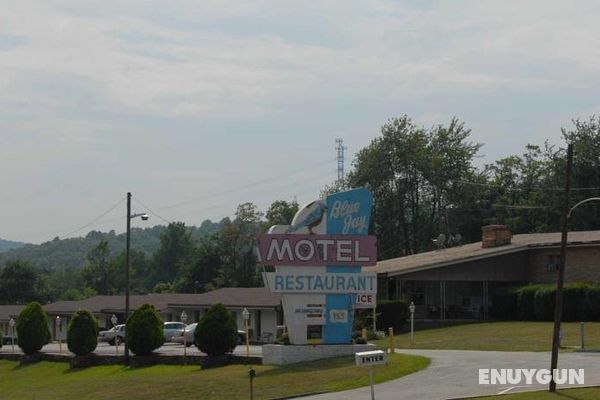 The Blue Jay Motel Genel