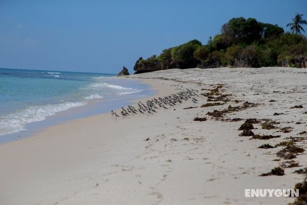 The Coconut Beach Boutique Lodge & Spa Genel