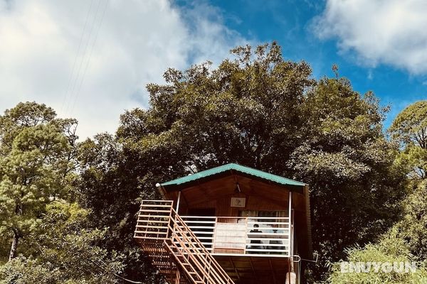 The Cocoon Camps & Nature Resorts Öne Çıkan Resim