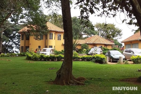 The Estate Ebwerenga Öne Çıkan Resim