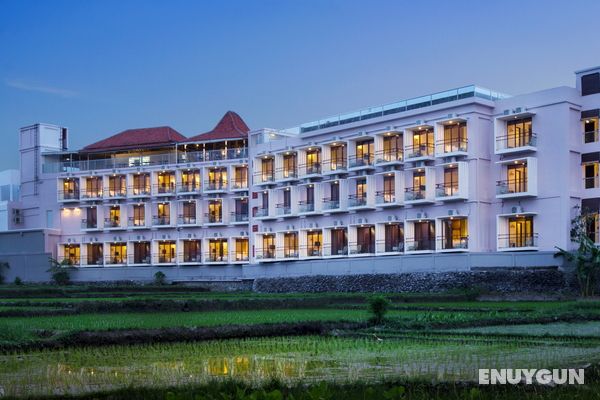 The Evitel Resort Ubud Genel