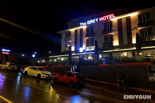 The Grey Hotel Genel