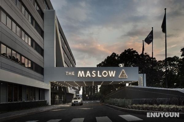 The Maslow Hotel Genel
