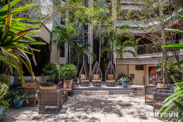 The Mayfair at Coconut Grove Genel