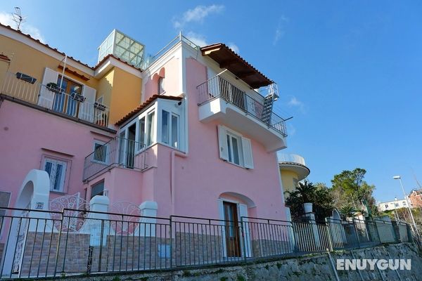 The Pink Ischia in Ischia Öne Çıkan Resim