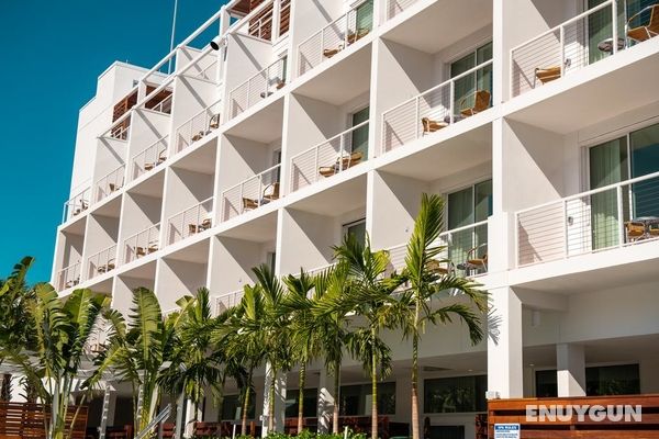 The Sarasota Modern, a Tribute Portfolio Hotel Genel
