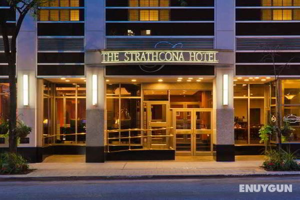 The Strathcona Hotel Downtown Toronto Genel