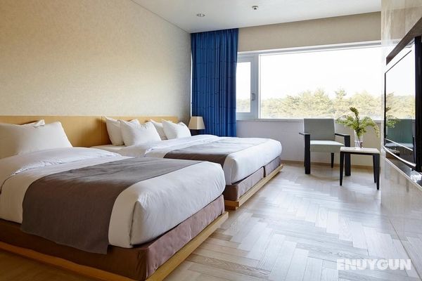 The Suites Hotel Gyeongju Genel