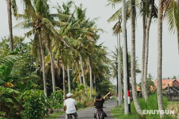 TheWakanda Resort A Pramana Experience Genel