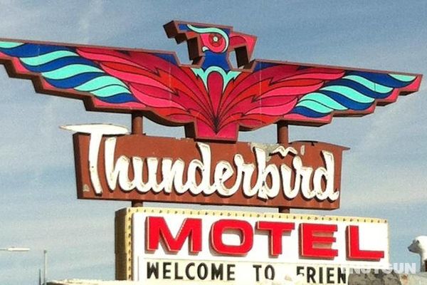 Thunderbird Motel Genel