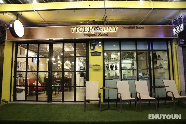 Tiger Lily Hostel Öne Çıkan Resim