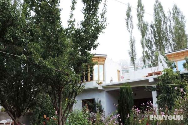 TIH A O Guest House & Home stay Genel