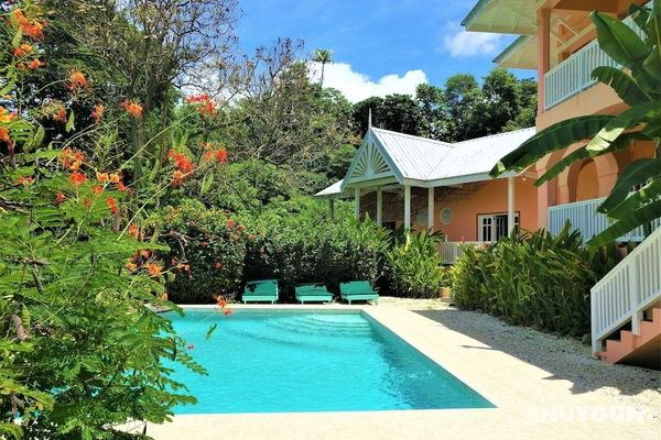Tobago Hibiscus Villas and Apartments Öne Çıkan Resim