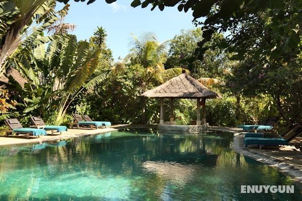 Tonys Villas & Resort Seminyak Bali Genel