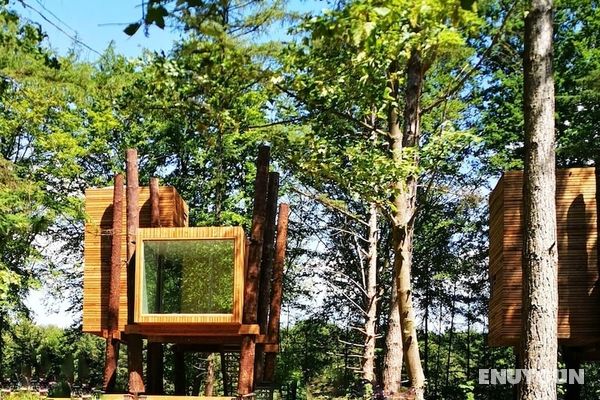 Treeloft Adventure in Nature for 4 People 7 Öne Çıkan Resim