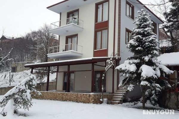 Villa Türkmen Genel