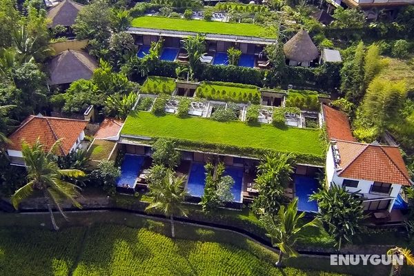 Ubud Green Resort Villas Genel