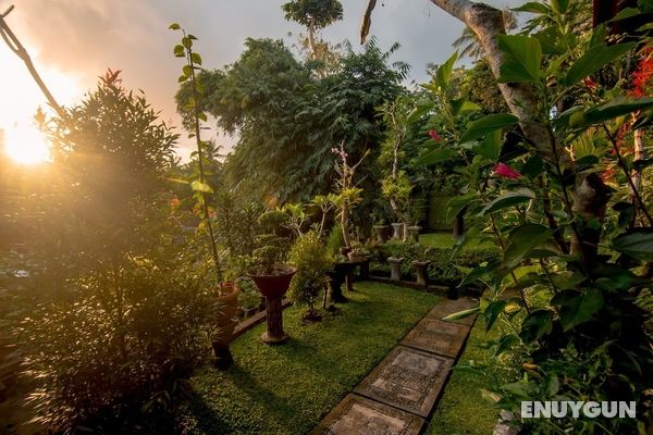 Ubud Wins Bungalow Öne Çıkan Resim