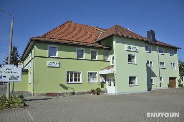Hotel und Gaststätte Zum Grünen Baum Öne Çıkan Resim