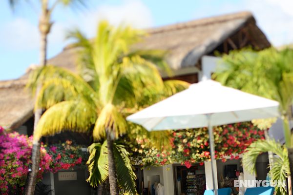 Veranda Palmar Beach Hotel & Spa Genel