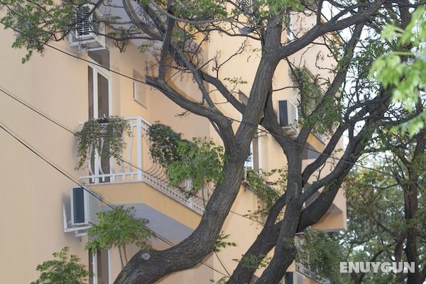 Hotel Vila Tako Öne Çıkan Resim