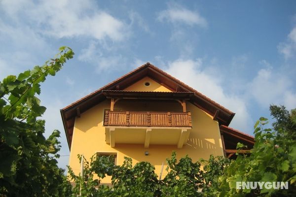 Vineyard cottage Ucman Öne Çıkan Resim