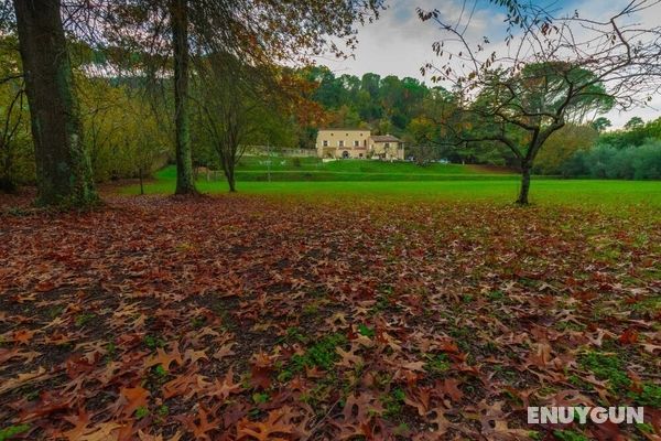 Villa Viola - Residenze Seicento - An Historic Villa With Garden Close to Lucca With Air Conditioning Oda
