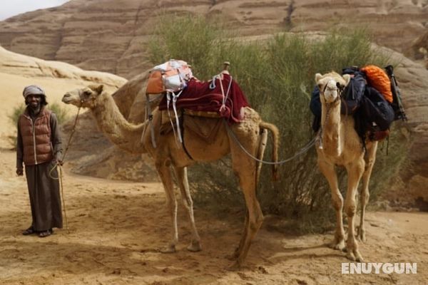Wadi Rum Oasis Genel