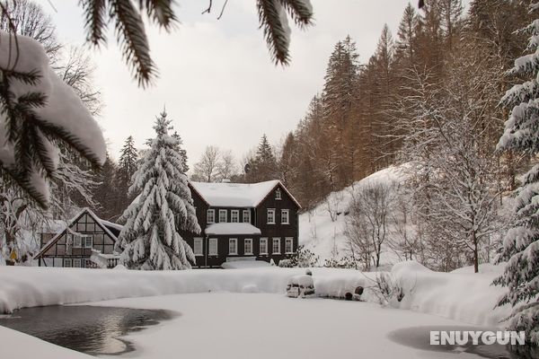 Waldhaus Wolfsbachmühle Dış Mekan