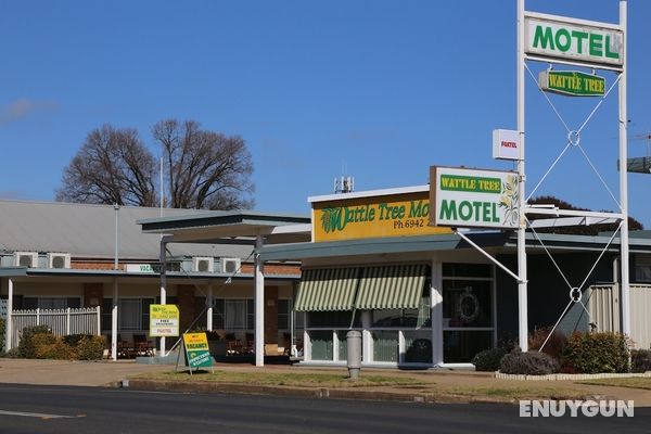 Wattle Tree Motel Öne Çıkan Resim