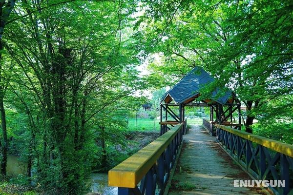 Weather Kamping & Bungalow Otel Öne Çıkan Resim