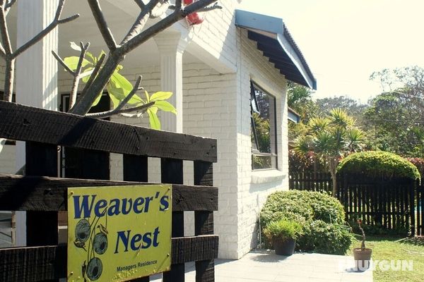 Weavers Nest Öne Çıkan Resim