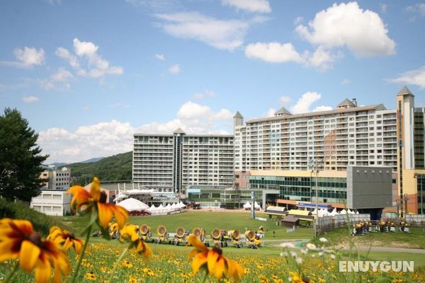 Welli Hilli Park(Ex. Hyundai Sungwoo Resort) Genel